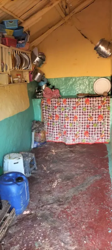 الأرملة الزهرة